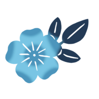 桜の花（ブルー）