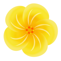 ハイビスカスD（黄）