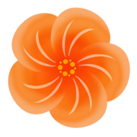 ハイビスカスD（オレンジ）