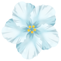 ハイビスカスE（白）