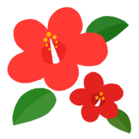 ハイビスカスG（赤）