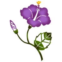 ハイビスカスH（紅型風・紫）