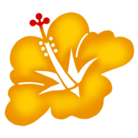 ハイビスカスJ（黄）