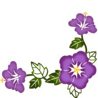 ハイビスカス枠A（紅型風・紫）