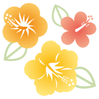 ハイビスカス×3（オレンジ系）