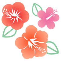 ハイビスカス×3（赤系）