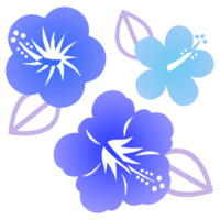 ハイビスカス×3（青系）