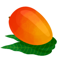 マンゴーB（葉っぱ）