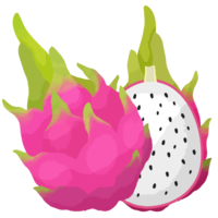 ドラゴンフルーツB（半分カット・白）