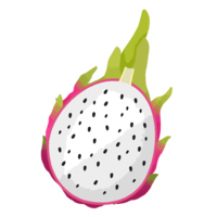 ドラゴンフルーツD（断面・白）