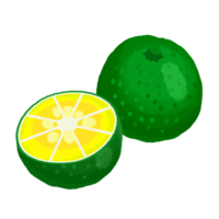 シークヮーサーA