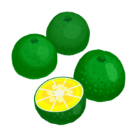 シークヮーサーB