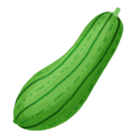 ナーベーラー（へちま）A