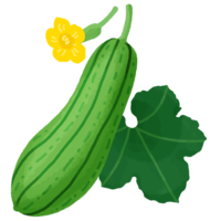 ナーベーラー（へちま）B・花と葉