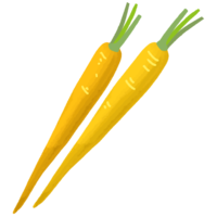 チデークニ（島ニンジン）A