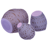 ターンム（田芋）A