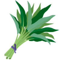 ウンチェーバー（ヨウサイ）A