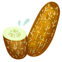 モーウイ（毛瓜）A