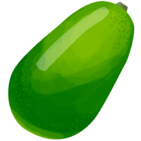 シブイ（冬瓜）A