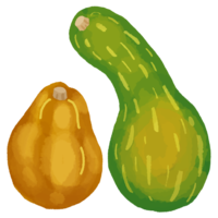 チンクヮー（島かぼちゃ）A