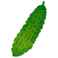 ゴーヤー（苦瓜）G