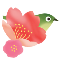 カンヒザクラE（メジロ）