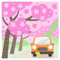 桜並木B（お花見ドライブ）