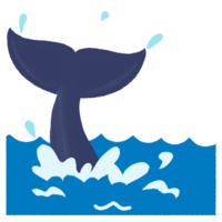 ホエールウォッチング（尾ひれ）A