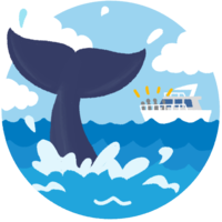 ホエールウォッチング（尾ひれ）B船