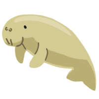 ジュゴン（背景なし）