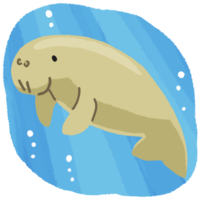 海で泳ぐジュゴン