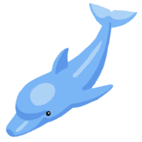 イルカ（背景なし）