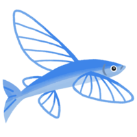 トビウオ（背景なし）