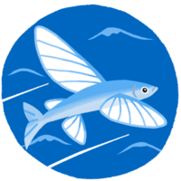 トビウオ（背景あり）