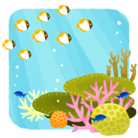 サンゴ礁と魚の群れ