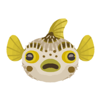 ハリセンボン（魚）背景なし