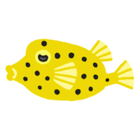 ミナミハコフグ（背景なし）