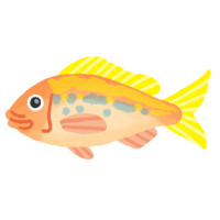 ビタロー（ハナフエダイ）