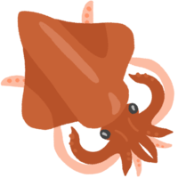 セーイカ（ソデイカ）