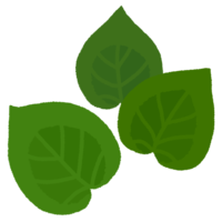 雲南百薬（うんなんひゃくやく）