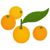 キンカン（金柑）