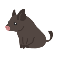 アグー（黒豚）のあかちゃん