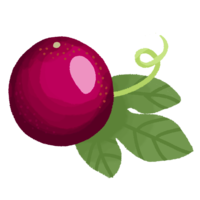 パッションフルーツ（果実と葉っぱ）