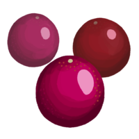 パッションフルーツ３つ