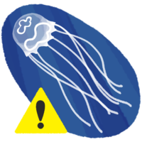 ハブクラゲ（注意マークつき）