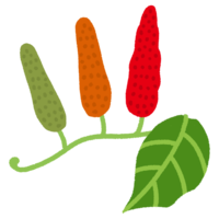 つながったピパーツ