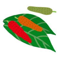 ピパーツの葉っぱと実