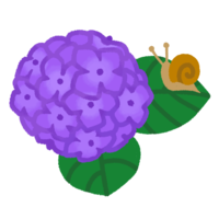 あじさい（紫）