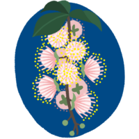 サガリバナ（背景あり）