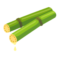 カットされたサトウキビ